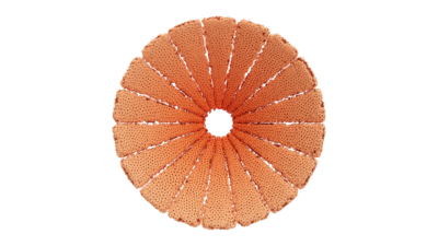 A rendering of a flower with a reef texture.