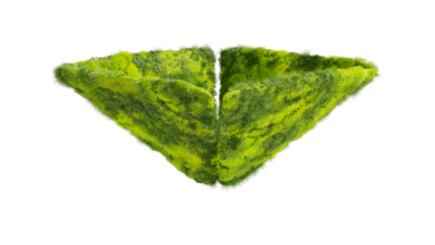 A rendering of a flower with a moss texture.
