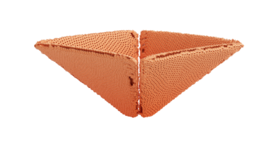 A rendering of a flower with a reef texture.