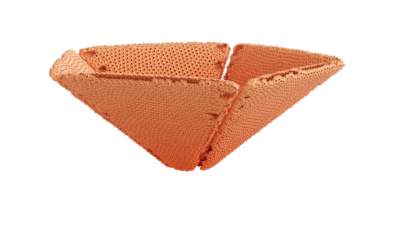 A rendering of a flower with a reef texture.