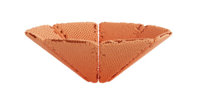 A rendering of a flower with a reef texture.