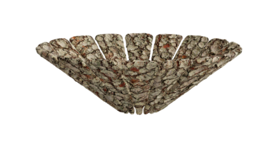 A rendering of a flower with a bark texture.