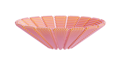 A rendering of a flower with a crochet texture.