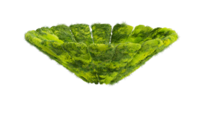 A rendering of a flower with a moss texture.