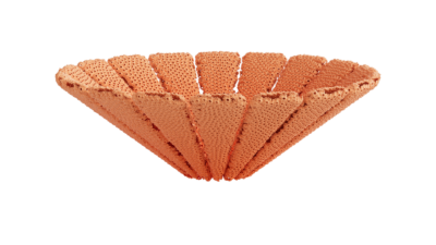 A rendering of a flower with a reef texture.