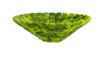 A rendering of a flower with a moss texture.