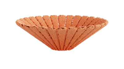 A rendering of a flower with a reef texture.