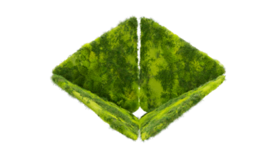 A rendering of a flower with a moss texture.