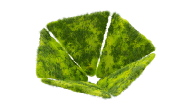 A rendering of a flower with a moss texture.