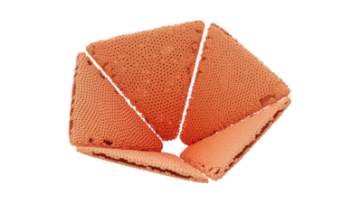 A rendering of a flower with a reef texture.