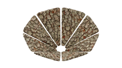 A rendering of a flower with a bark texture.