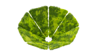 A rendering of a flower with a moss texture.