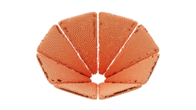 A rendering of a flower with a reef texture.