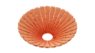 A rendering of a flower with a reef texture.