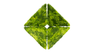 A rendering of a flower with a moss texture.