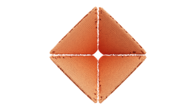 A rendering of a flower with a reef texture.