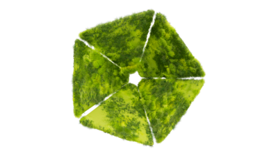 A rendering of a flower with a moss texture.