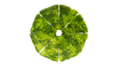 A rendering of a flower with a moss texture.