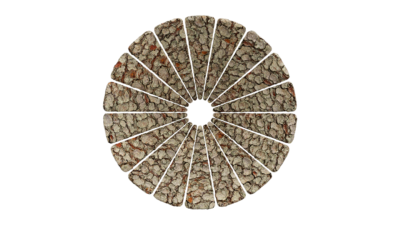 A rendering of a flower with a bark texture.