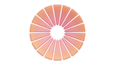 A rendering of a flower with a crochet texture.