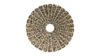 A rendering of a flower with a bark texture.