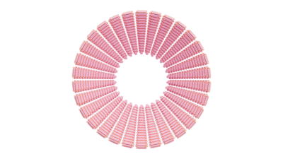 A rendering of a flower with a crochet texture.