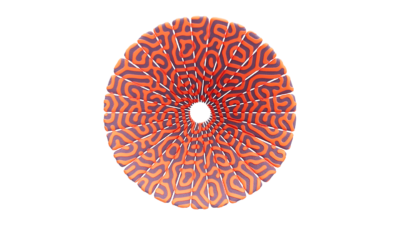 A rendering of a flower with a reactiondiffusion texture.