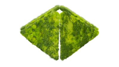 A rendering of a flower with a moss texture.