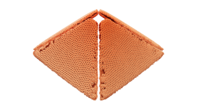 A rendering of a flower with a reef texture.
