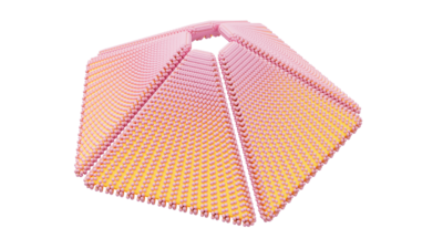 A rendering of a flower with a crochet texture.