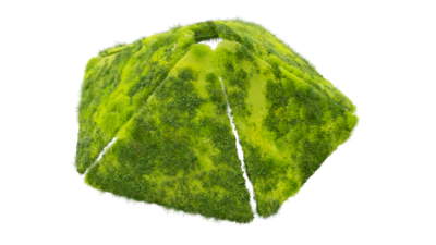 A rendering of a flower with a moss texture.