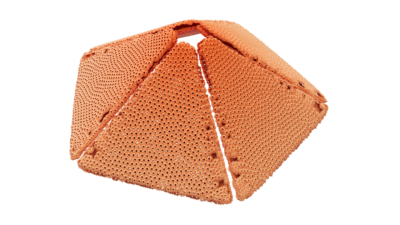 A rendering of a flower with a reef texture.