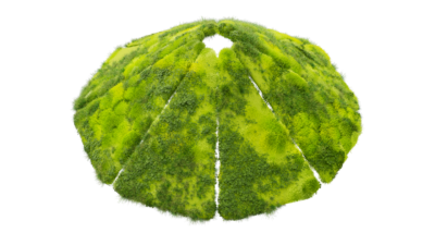 A rendering of a flower with a moss texture.