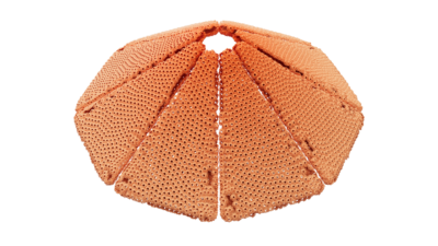 A rendering of a flower with a reef texture.