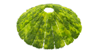 A rendering of a flower with a moss texture.