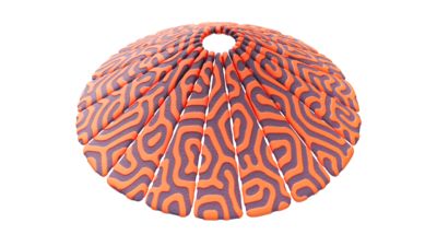 A rendering of a flower with a reactiondiffusion texture.