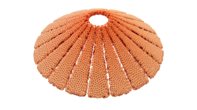 A rendering of a flower with a reef texture.