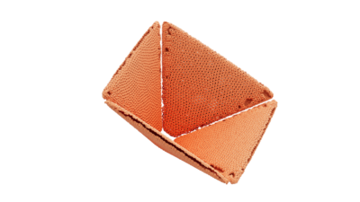 A rendering of a flower with a reef texture.