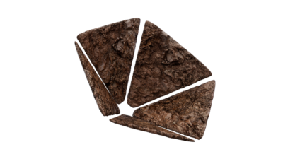 A rendering of a flower with a mud texture.