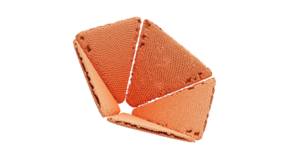 A rendering of a flower with a reef texture.