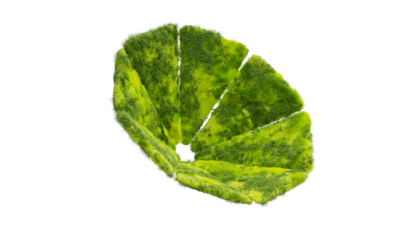 A rendering of a flower with a moss texture.