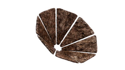 A rendering of a flower with a mud texture.