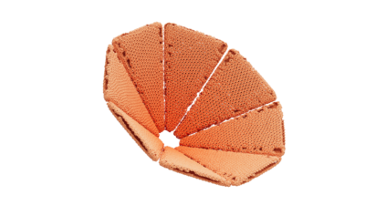 A rendering of a flower with a reef texture.