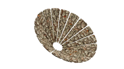 A rendering of a flower with a bark texture.