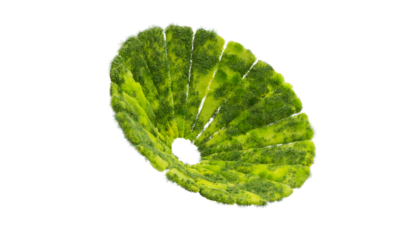 A rendering of a flower with a moss texture.