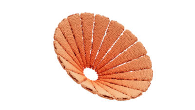 A rendering of a flower with a reef texture.