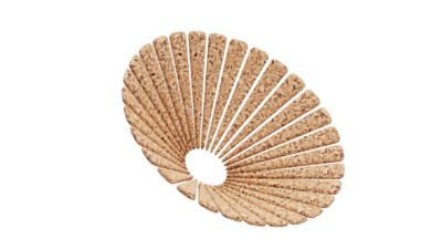 A rendering of a flower with a cork texture.