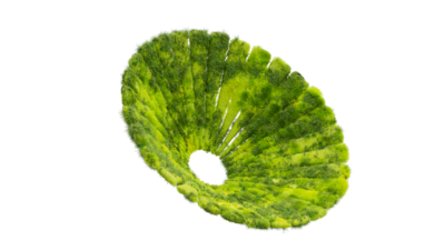 A rendering of a flower with a moss texture.